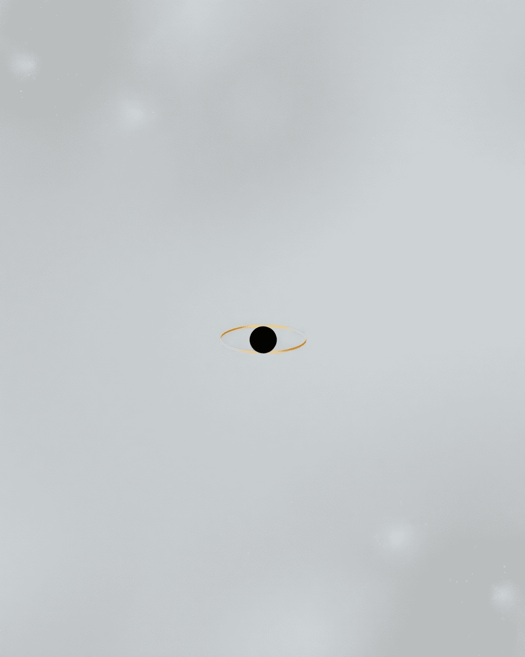 Sunk-Cost Singularity